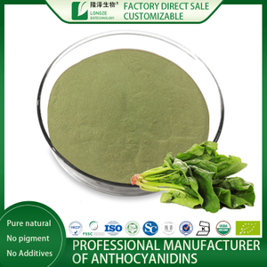 spinach juice powder