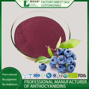 blueberry fruit powder