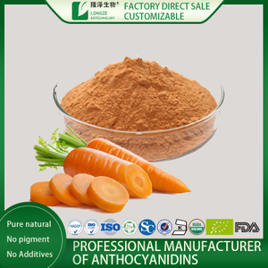 carrot juice powder